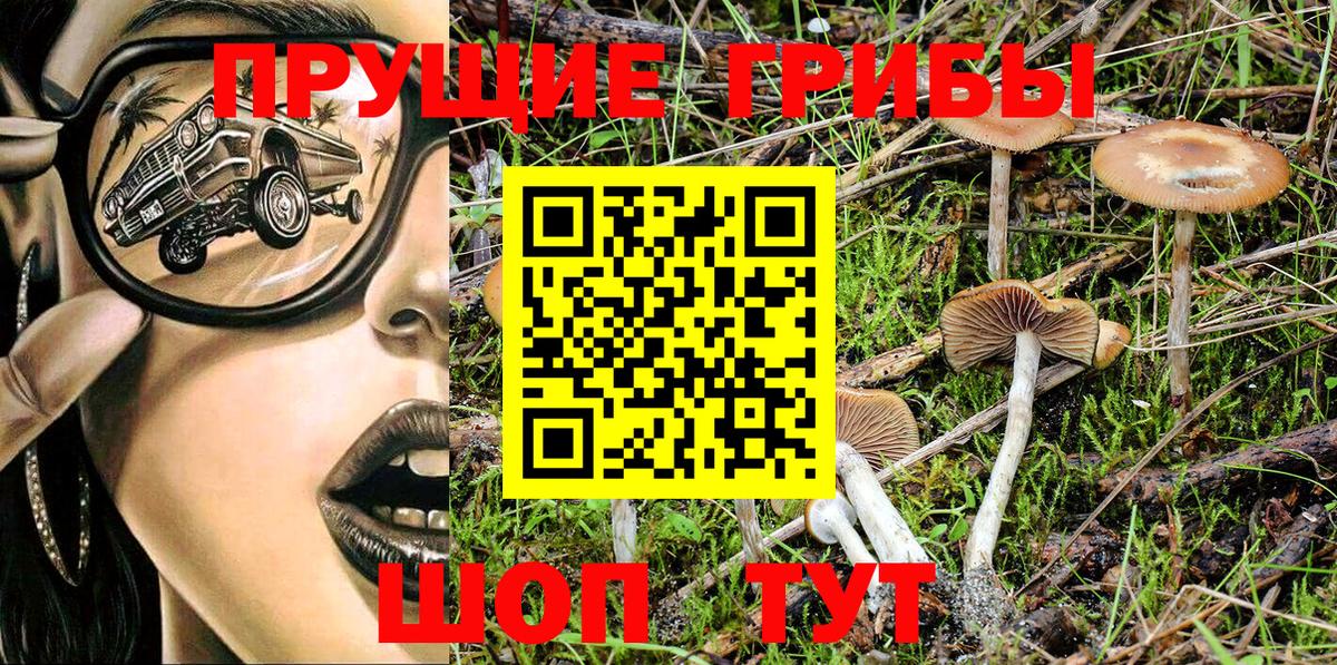 Галлюциногенные грибы MAGIC MUSHROOMS  Вход с VPN  Сибай 